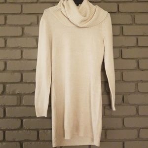 Soft Cowl Neck Sweater Dress